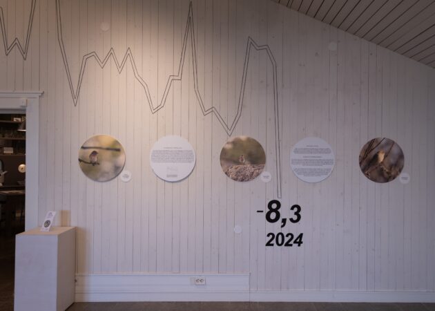 Klimat och fåglar2