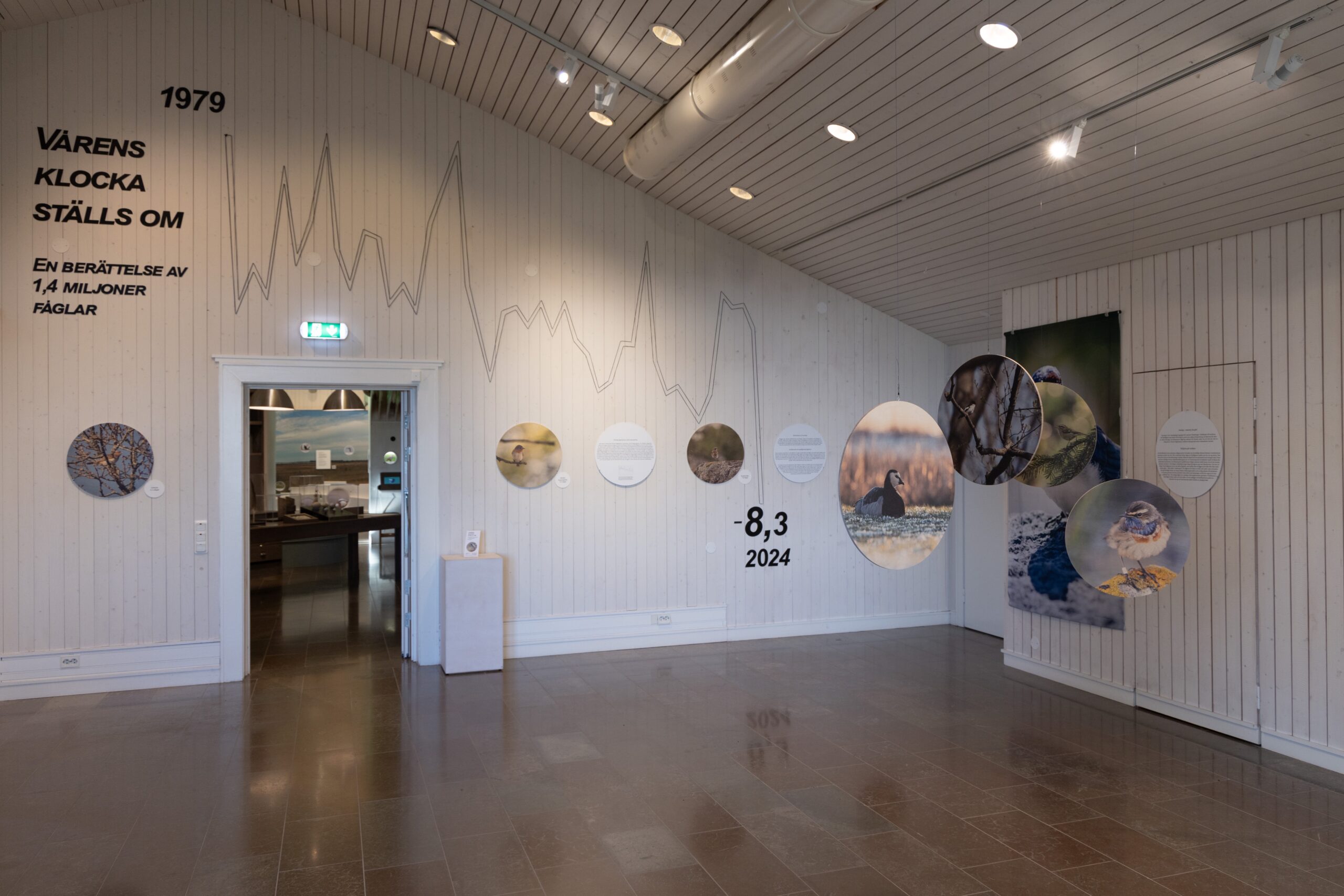 Klimat och fåglar_foto