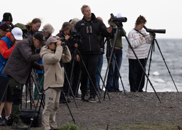 Foto: Gabriel Säll